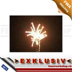 Cycas Feuerwerk-Palmenbatterie C25-4