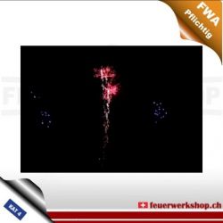 F4 Feuerwerk W Shape Blue Mine And Silver Tail Red Peony
