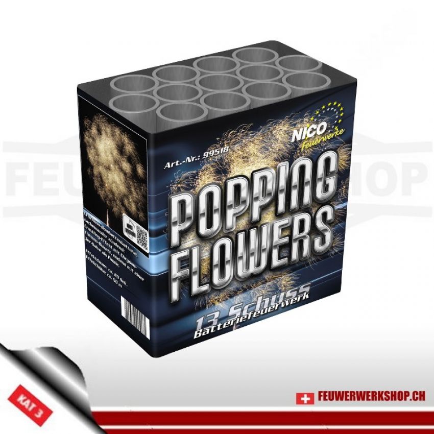13 Schuss-Bombetten-Feuerwerksbatterie *Popping Flowers*