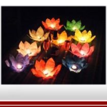 Water lanterns (lucky flower)set of 6.